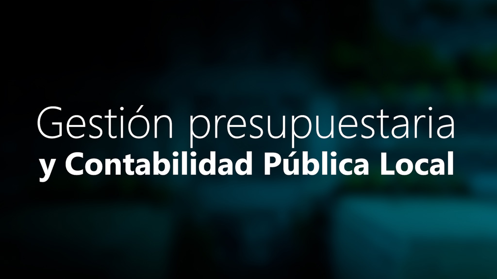 Curso de G. Presupuestaria y Contabilidad Pública Local.