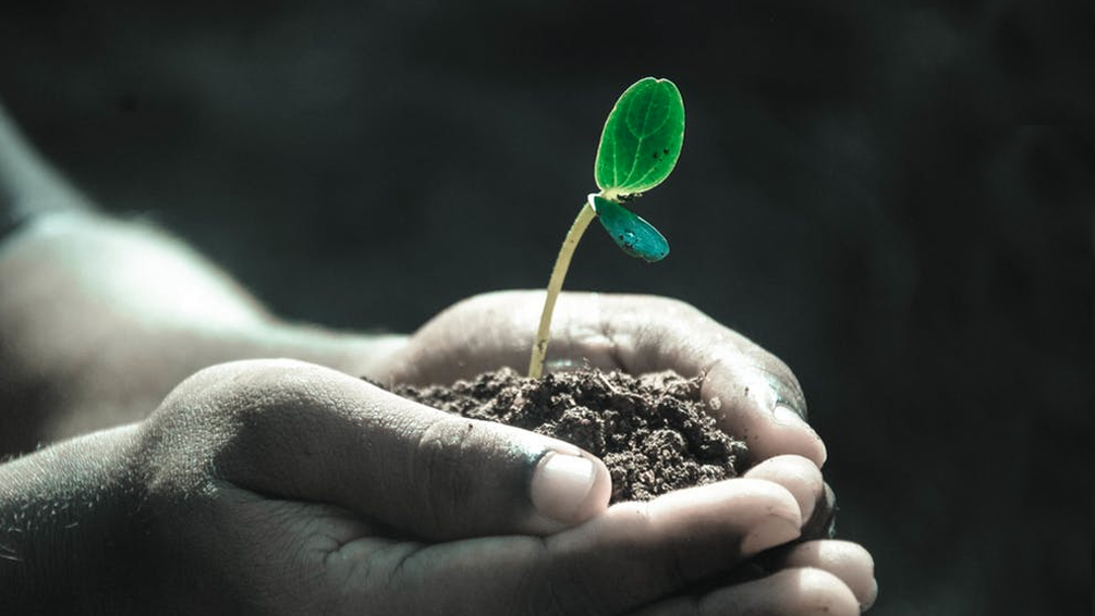 Curso de Ley 27/2013 de Racionalización y Sostenibilidad.